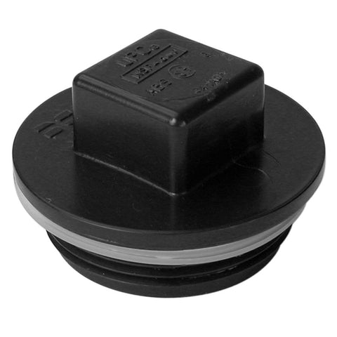 ABS Cleanout Plug 2 IN MPT